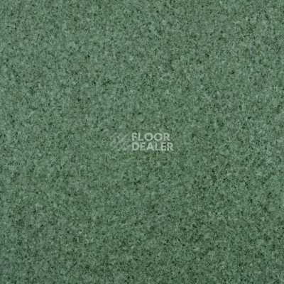 Линолеум Lg Trendy TD12503 фото 1 | FLOORDEALER