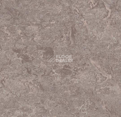 Линолеум Forbo Marmoleum Sport 83146 фото 1 | FLOORDEALER