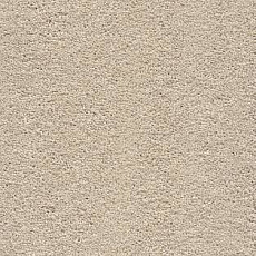 Ковролин AW VivendiI Aaura 33 фото 1 | FLOORDEALER