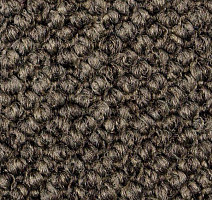 Ковролин Carpet Concept Eco Cut 60278 фото 1 | FLOORDEALER