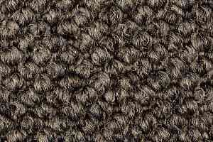 Ковролин Carpet Concept Eco Cut 60278 фото  | FLOORDEALER