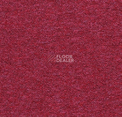 Ковровая плитка Tessera Layout & Outline 2119 / 2119 pl Maraschino фото 1 | FLOORDEALER