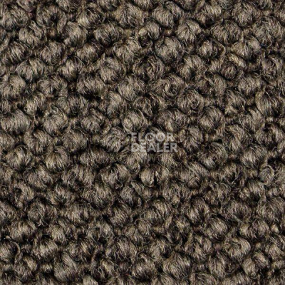 Ковролин Carpet Concept Eco Cut 60278 фото 1 | FLOORDEALER