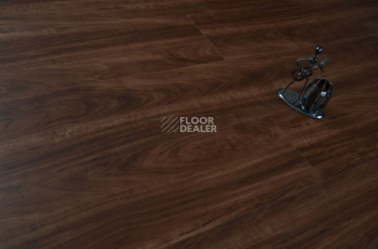 Evofloor Optima Click 4.2мм Орех Американский фото 3 | FLOORDEALER