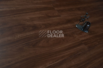 Evofloor Optima Click 4.2мм Орех Американский фото 3 | FLOORDEALER