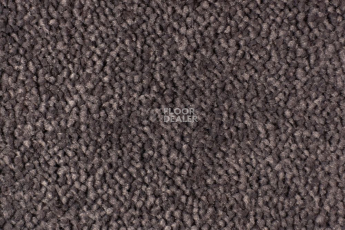 Ковролин Edel Vanity 183 фото 1 | FLOORDEALER