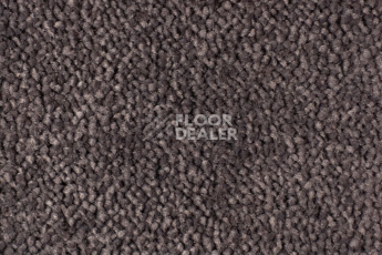 Ковролин Edel Vanity 183 фото 1 | FLOORDEALER