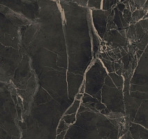 Керамогранит Purity Of Marble 60*60 p60d Supreme Dark Nat RT фото 1 | FLOORDEALER