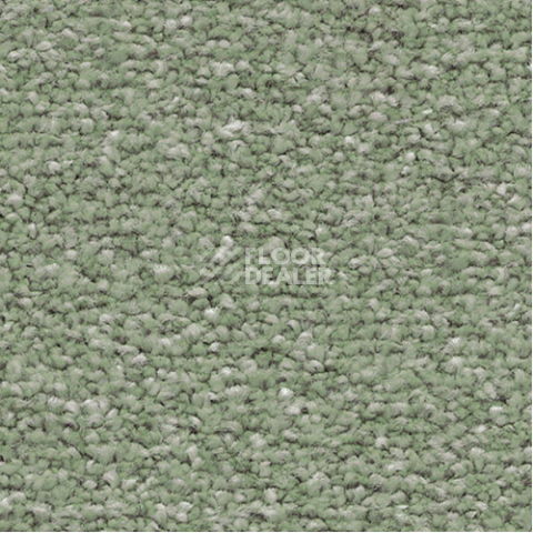 Ковролин Associated Weavers Mare 20 фото 1 | FLOORDEALER