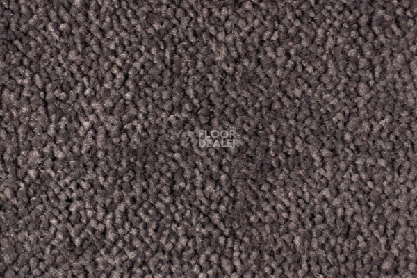 Ковролин Edel Vanity 183 фото 1 | FLOORDEALER