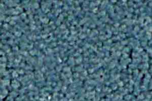 Ковролин Infloor Chiffon 310 фото  | FLOORDEALER