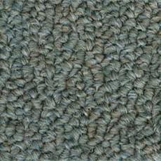 Salisbury Beaulieu of America 319 фото 1 | FLOORDEALER