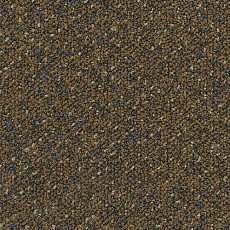 Desso Capella Desso Capella 2052 фото 1 | FLOORDEALER