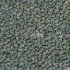 Ковролин Salisbury Beaulieu of America 319 фото 1 | FLOORDEALER