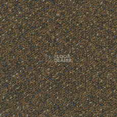 Ковровая плитка Desso Capella Desso Capella 2052 фото 1 | FLOORDEALER