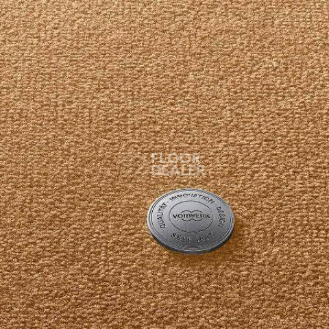 Ковролин Vorwerk Superior 1049 Vorwerk 2f50 фото 1 | FLOORDEALER