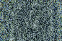 Flotex Colour Canyon 50*50 t 545029 Canyon Seafoam фото 2 | FLOORDEALER