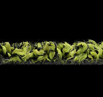 Forbo Coral Bright 2608 Fresh Grass фото 5 | FLOORDEALER