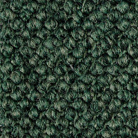 Ковролин Carpet Concept Eco Cut 30003 фото 1 | FLOORDEALER