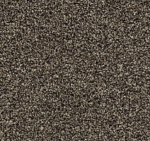 Грязезащитные покрытия Forbo Coral в плитке 2604 Virgin Sand фото 1 | FLOORDEALER