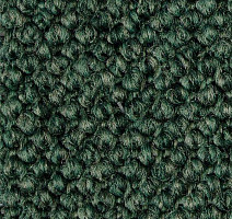 Ковролин Carpet Concept Eco Cut 30003 фото 1 | FLOORDEALER