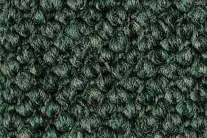 Ковролин Carpet Concept Eco Cut 30003 фото  | FLOORDEALER