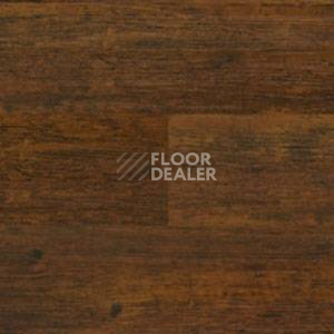 Линолеум Polyflor Expona Wood 6152 фото 1 | FLOORDEALER