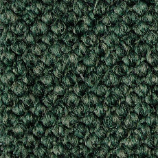 Carpet Concept Eco Cut 30003 фото 1 | FLOORDEALER