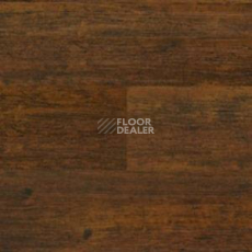 Линолеум Polyflor Expona Wood 6152 фото 1 | FLOORDEALER