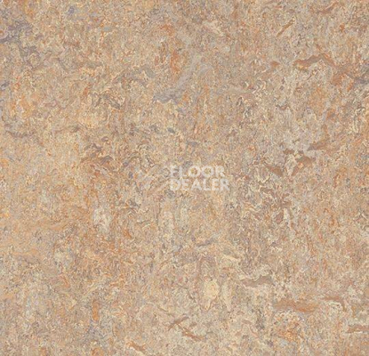 Кварцвиниловые полы Forbo Marmoleum Modular t3407 donkey island фото 1 | FLOORDEALER