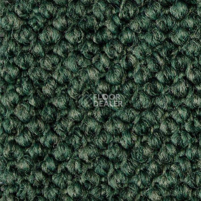Ковролин Carpet Concept Eco Cut 30003 фото 1 | FLOORDEALER