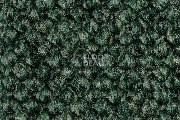 Ковролин Carpet Concept Eco Cut 30003 фото 1 | FLOORDEALER