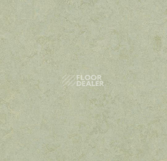 Кварцвиниловые полы Forbo Marmoleum Modular Colour 3884 фото 1 | FLOORDEALER