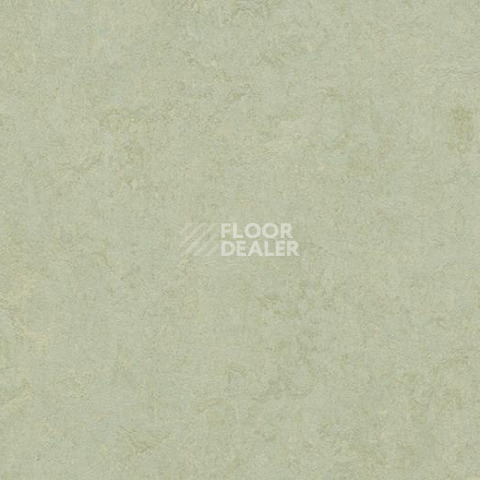 Кварцвиниловые полы Forbo Marmoleum Modular Colour 3884 фото 1 | FLOORDEALER