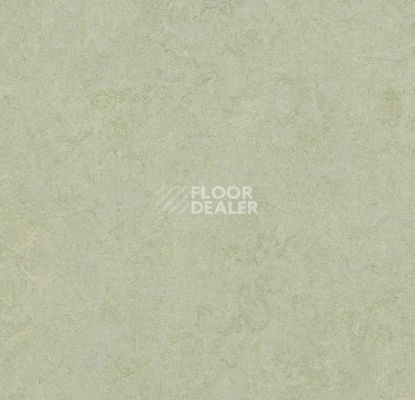 Кварцвиниловые полы Forbo Marmoleum Modular Colour 3884 фото 1 | FLOORDEALER