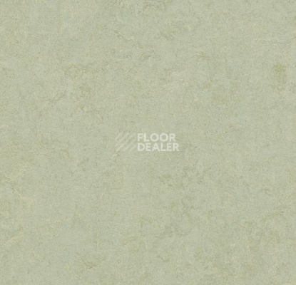 Кварцвиниловые полы Marmoleum Modular Colour 3884 фото 1 | FLOORDEALER
