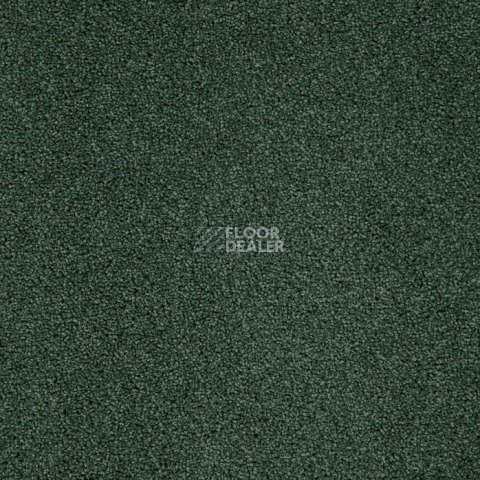 Haima Noble 71 фото 8 | FLOORDEALER