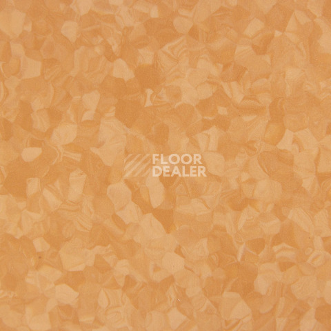 Tarkett iq Melodia 2635 фото 3 | FLOORDEALER