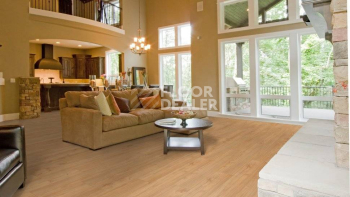 Kronotex Robusto 12мм d4720 Кастанеа фото 2 | FLOORDEALER