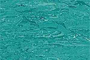 Линолеум Polyflor 2000 Pur 8750 фото  | FLOORDEALER