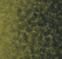 Ковролин Flotex by Starck Artist 322012 Artist Emerald / Chartreuse b2 фото 1 | FLOORDEALER