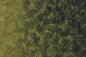 Ковролин Flotex by Starck Artist 322012 Artist Emerald / Chartreuse b2 фото  | FLOORDEALER