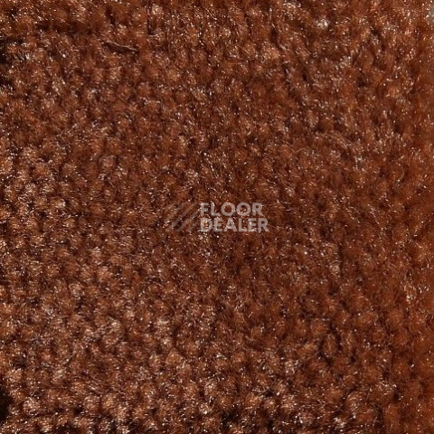 Ковролин Big Caresse 314 фото 1 | FLOORDEALER