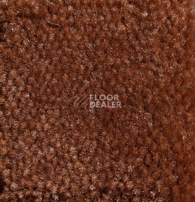 Ковролин Big Caresse 314 фото 1 | FLOORDEALER