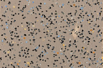 Forbo SafeStep R12 175872 fossil фото 2 | FLOORDEALER