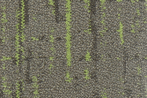 Ковровая плитка Autumn Woods 601003 New Leaf фото  | FLOORDEALER