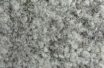 ColorKey ColorKey a 04 фото 2 | FLOORDEALER