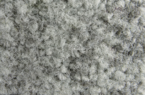 ColorKey ColorKey a 04 фото 2 | FLOORDEALER