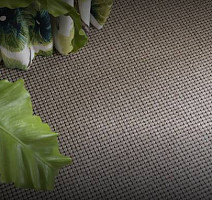 Jacaranda Carpets Harrington