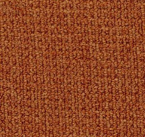 Ковролин Desso Conga 5102 фото 1 | FLOORDEALER